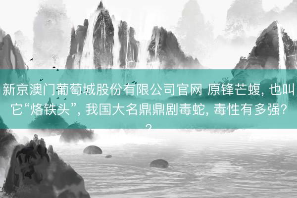 新京澳门葡萄城股份有限公司官网 原锋芒蝮， 也叫它“烙铁头”， 我国大名鼎鼎剧毒蛇， 毒性有多强?