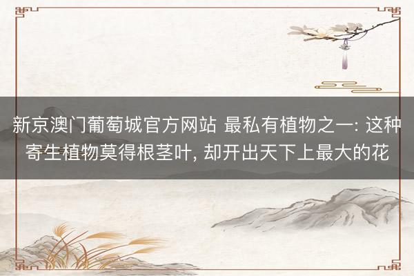 新京澳门葡萄城官方网站 最私有植物之一: 这种寄生植物莫得根茎叶, 却开出天下上最大的花