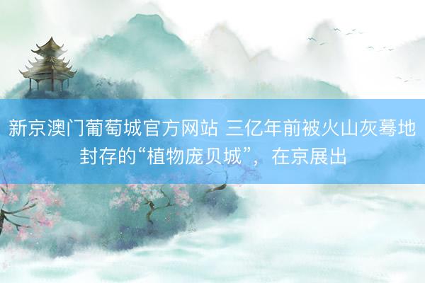 新京澳门葡萄城官方网站 三亿年前被火山灰蓦地封存的“植物庞贝城”,在京展出