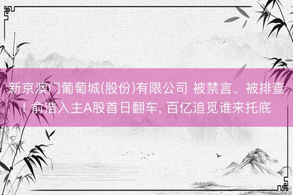 新京澳门葡萄城(股份)有限公司 被禁言、被排查! 俞浩入主A股首日翻车， 百亿追觅谁来托底