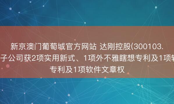 新京澳门葡萄城官方网站 达刚控股(300103.SZ)：控股子公司获2项实用新式、1项外不雅瞎想专利及1项软件文章权
