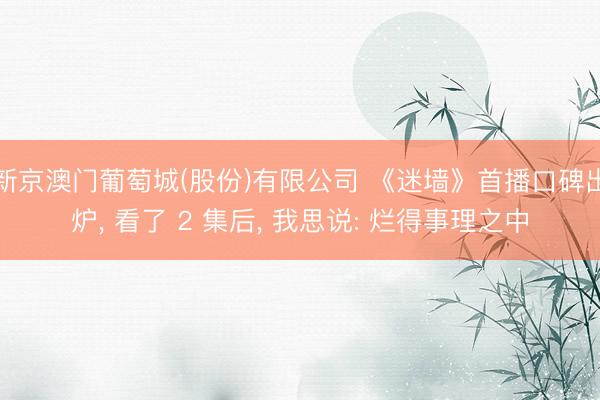 新京澳门葡萄城(股份)有限公司 《迷墙》首播口碑出炉, 看了 2 集后, 我思说: 烂得事理之中
