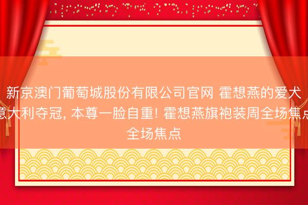 新京澳门葡萄城股份有限公司官网 霍想燕的爱犬意大利夺冠, 本尊一脸自重! 霍想燕旗袍装周全场焦点