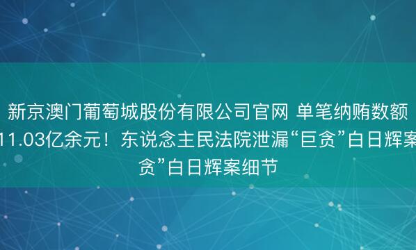 新京澳门葡萄城股份有限公司官网 单笔纳贿数额高达11.03亿余元！东说念主民法院泄漏“巨贪”白日辉案细节