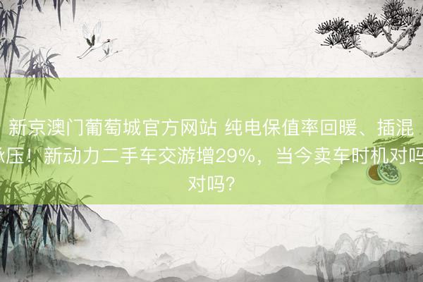 新京澳门葡萄城官方网站 纯电保值率回暖、插混承压!新动力二手车交游增29%,当今卖车时机对吗?