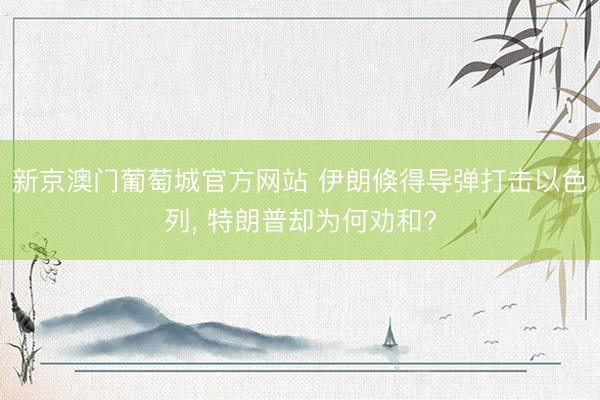 新京澳门葡萄城官方网站 伊朗倏得导弹打击以色列, 特朗普却为何劝和?