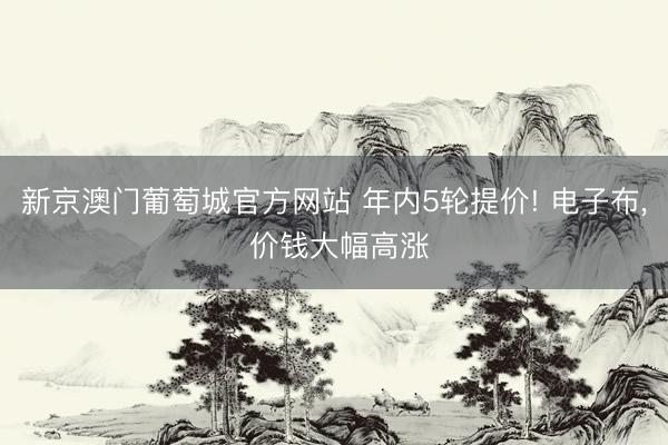 新京澳门葡萄城官方网站 年内5轮提价! 电子布, 价钱大幅高涨