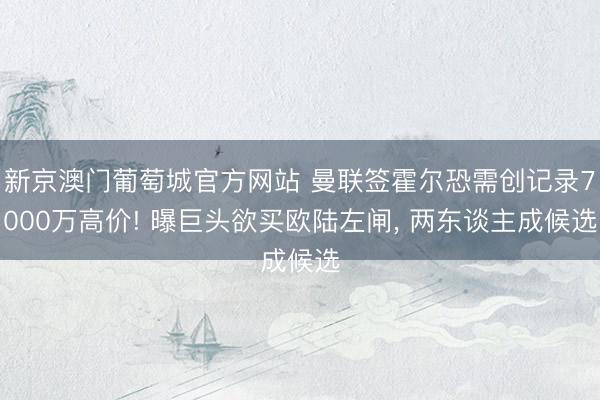 新京澳门葡萄城官方网站 曼联签霍尔恐需创记录7000万高价! 曝巨头欲买欧陆左闸， 两东谈主成候选