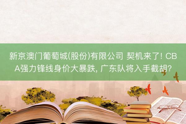新京澳门葡萄城(股份)有限公司 契机来了! CBA强力锋线身价大暴跌, 广东队将入手截胡?