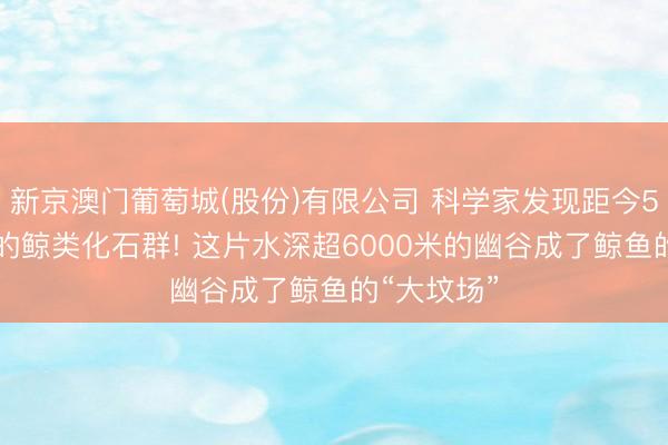 新京澳门葡萄城(股份)有限公司 科学家发现距今530万年前的鲸类化石群! 这片水深超6000米的幽谷成了鲸鱼的“大坟场”