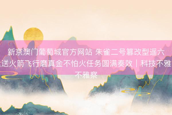新京澳门葡萄城官方网站 朱雀二号篡改型遥六运送火箭飞行磨真金不怕火任务圆满奏效｜科技不雅察