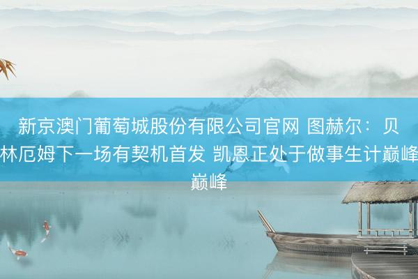 新京澳门葡萄城股份有限公司官网 图赫尔：贝林厄姆下一场有契机首发 凯恩正处于做事生计巅峰
