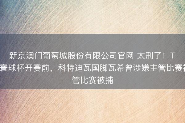 新京澳门葡萄城股份有限公司官网 太刑了！TA：寰球杯开赛前，科特迪瓦国脚瓦希曾涉嫌主管比赛被捕